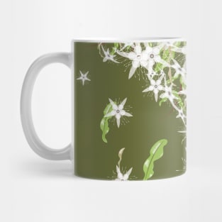 Syzygium anisatum - Flowers and Leaves of the Australian Aniseed Myrtle Tree Mug